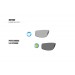 Sport sunglasses with photchromic polarized lenses for cycling - running - golf - motorcycle - ski by Bertoni Italy P180FTC